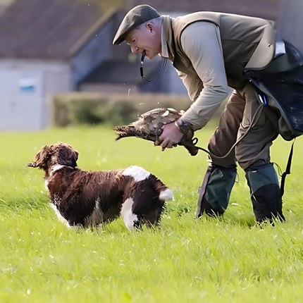 hunting dog training whistle field