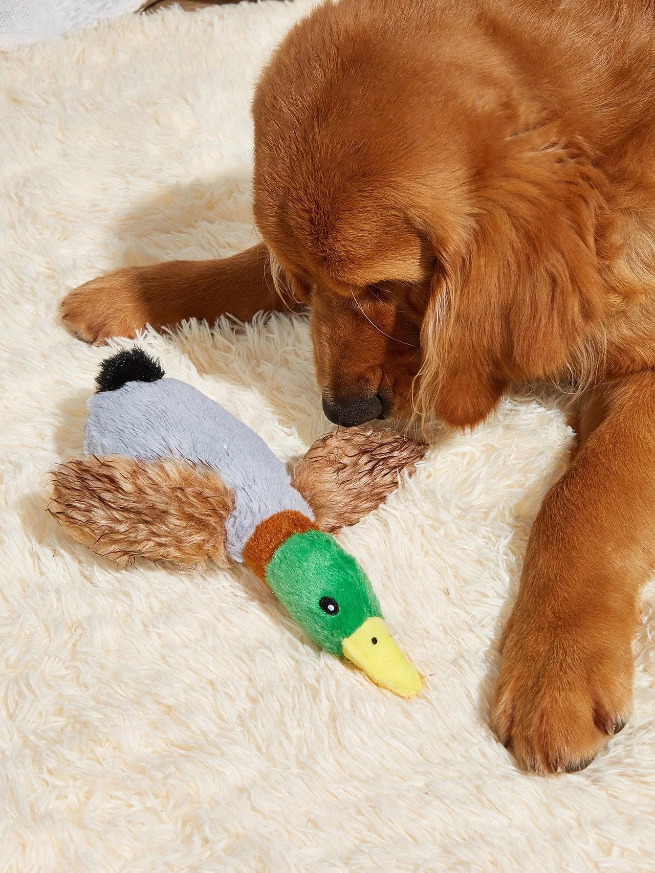 Puppy Duck Delight Toy - Peppy Puppy