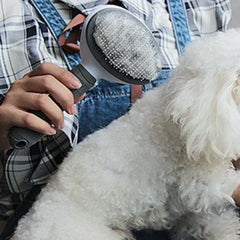 Puppy Pamper Brush - Peppy Puppy