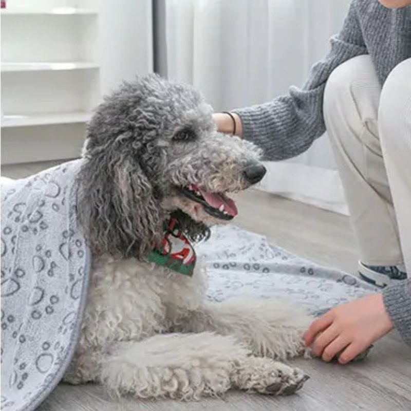 Puppy Paw Cozy Blanket - Peppy Puppy