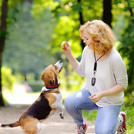 puppy training clicker reward session