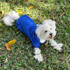 PuppyCozy Fleece Hoodie – Warm & Stylish Dog Sweatshirt - Peppy Puppy