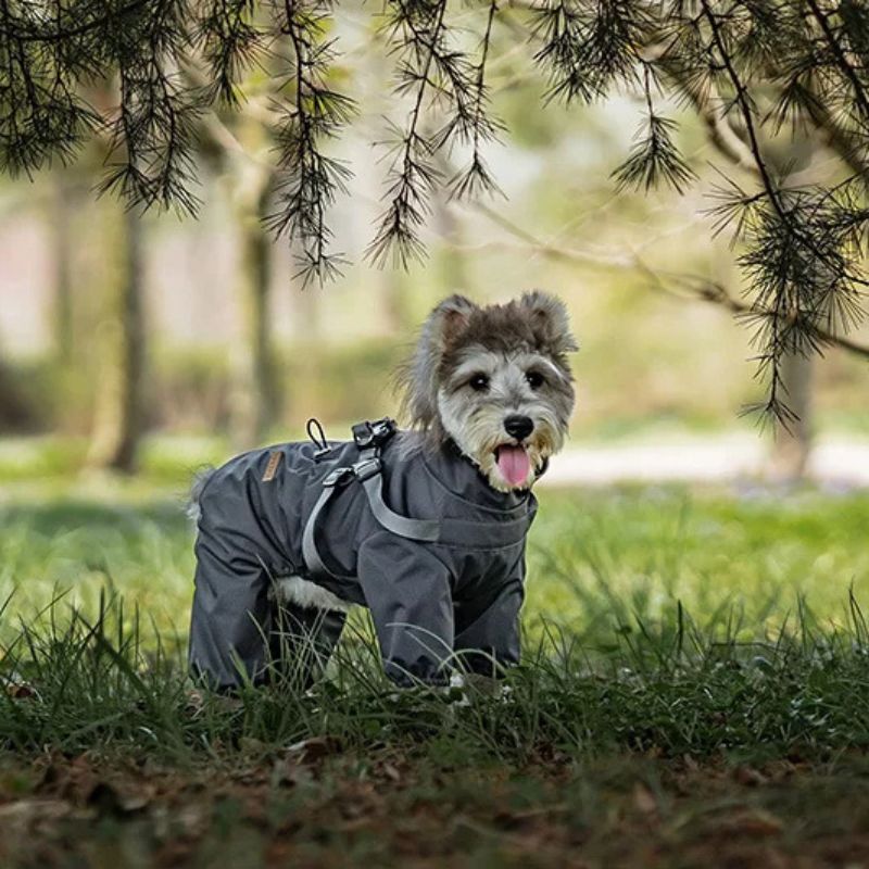 PuppyShield Raincoat - Peppy Puppy