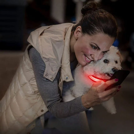 Light Up Dog Collar GlowTrack™ | Waterproof GPS Tracker for Safe Night Walks