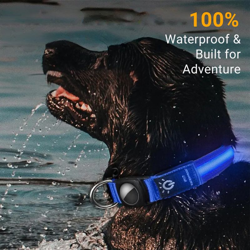 Track. Glow. Protect. – The Smart Collar for Every Adventure! - Peppy Puppy