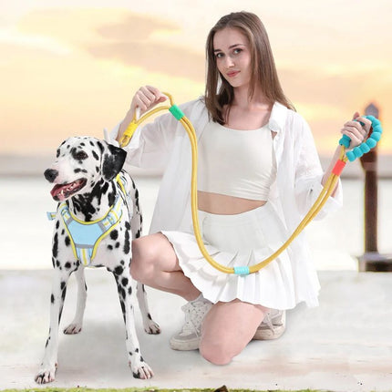 yellow hands free dog leash outdoor photo shoot